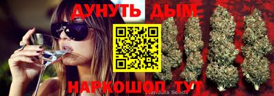 ПСИЛОЦИБИНОВЫЕ ГРИБЫ Новодвинск
