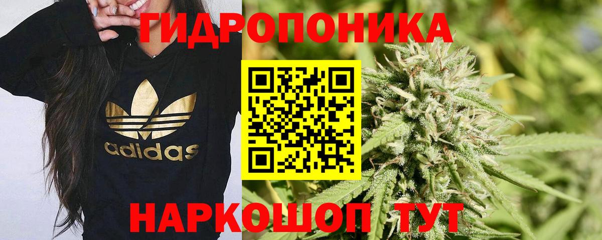 Бошки Шишки индика  Вход с VPN  Бошки марихуана LSD WEED  Трёхгорный  Каннабис VHQ 